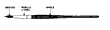 Fig. 2-67, Brush nomenclature